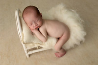 COHEN_12DAYS-9