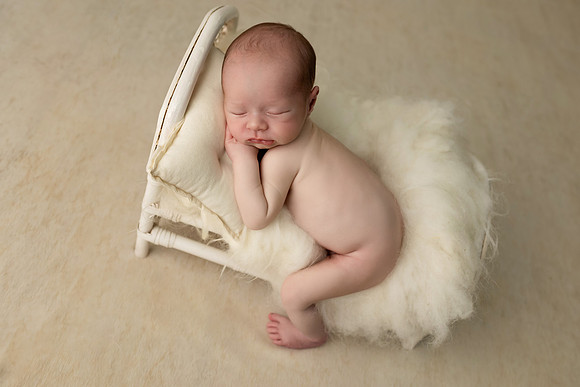 COHEN_12DAYS-10