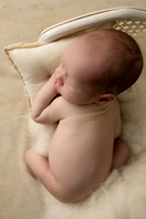 COHEN_12DAYS-11