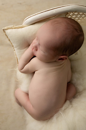 COHEN_12DAYS-11
