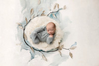 COHEN_12DAYS-12