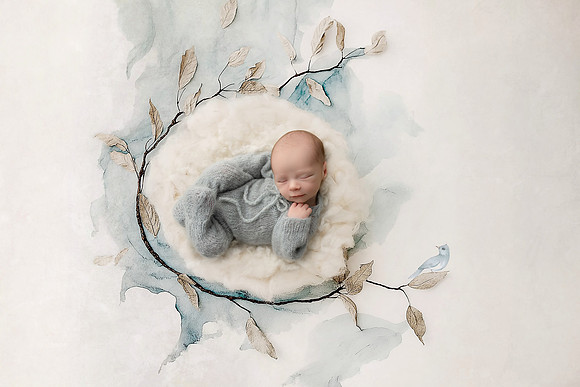 COHEN_12DAYS-12