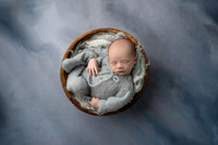 COHEN_12DAYS-14
