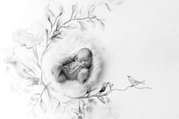 COHEN_12DAYS-19