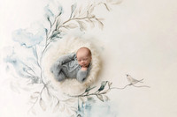 COHEN_12DAYS-18
