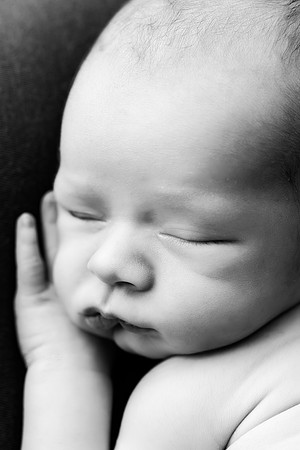 COHEN_12DAYS-22