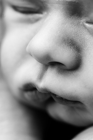 COHEN_12DAYS-24