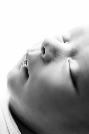 COHEN_12DAYS-25