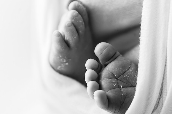 COHEN_12DAYS-26