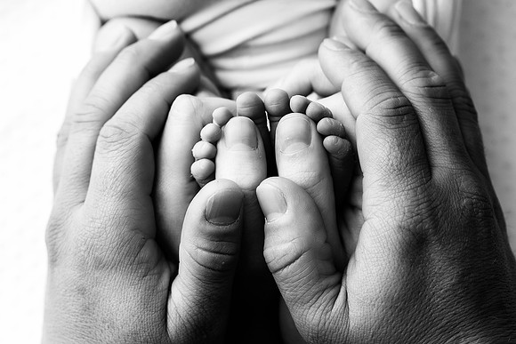 COHEN_12DAYS-27