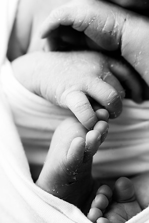 COHEN_12DAYS-28