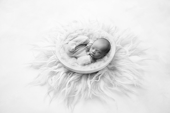 COHEN_12DAYS-31