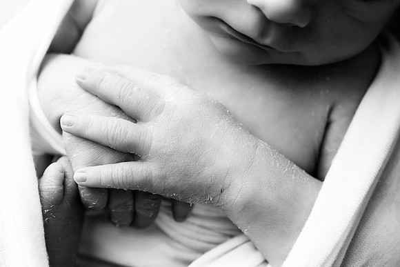 COHEN_12DAYS-29