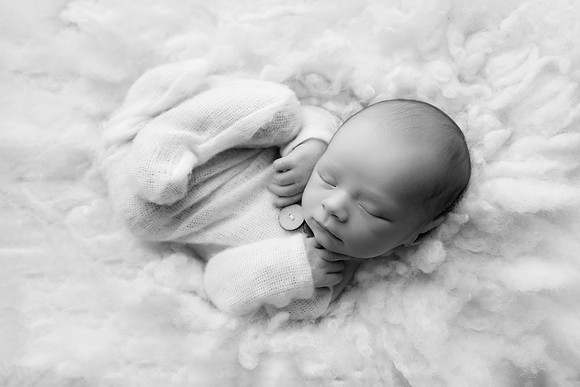 COHEN_12DAYS-39