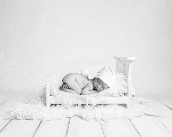 COHEN_12DAYS-41