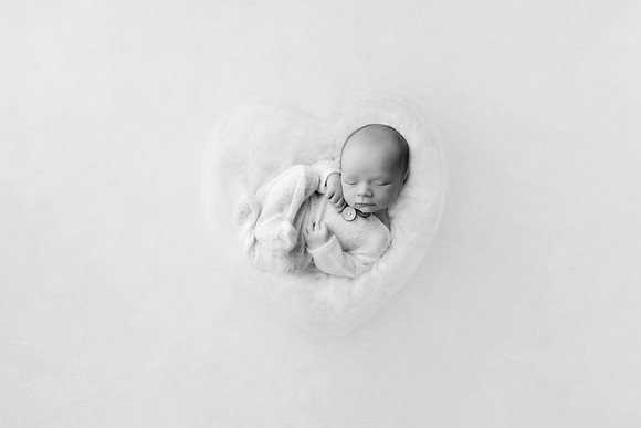 COHEN_12DAYS-54