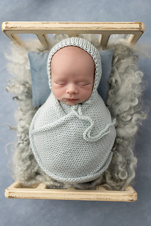COHEN_12DAYS-56