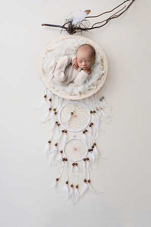 COHEN_12DAYS-60