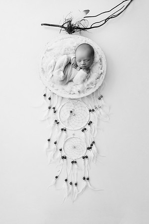 COHEN_12DAYS-61