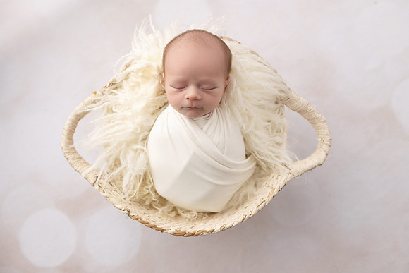 COHEN_12DAYS-62