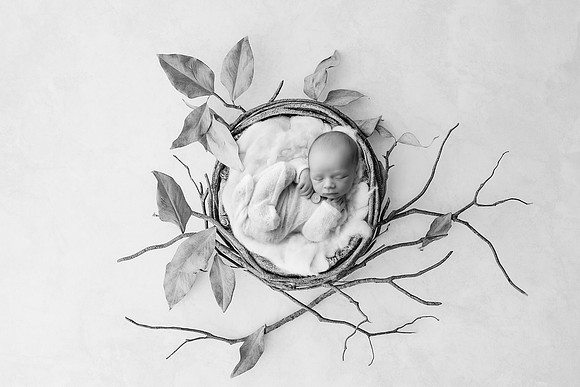 COHEN_12DAYS-66