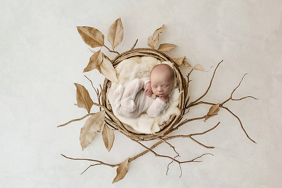 COHEN_12DAYS-65