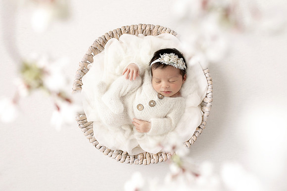NORA_12DAYS-26