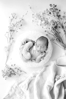 THOMAS_13DAYS-2