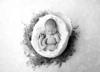 CAIDEN_8days-2