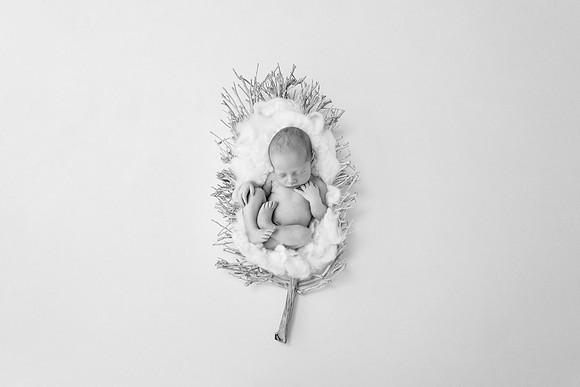 CAIDEN_8days-8