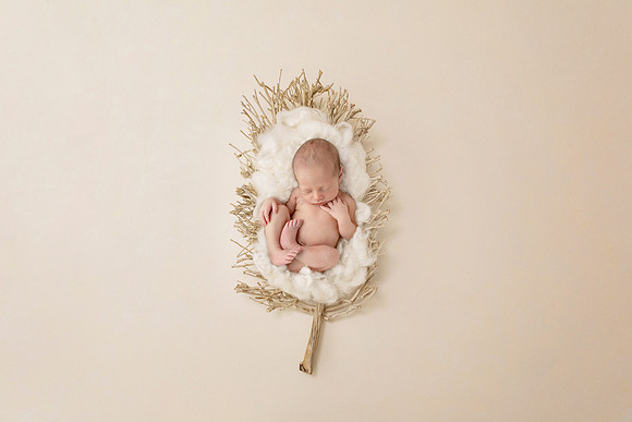 CAIDEN_8days-7
