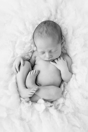 CAIDEN_8days-71