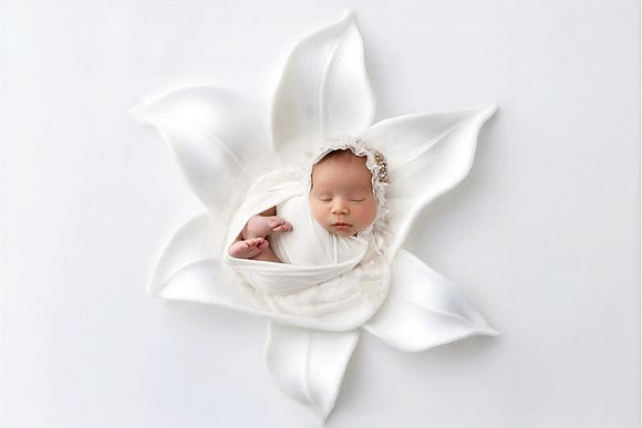 ANASTASIA_11DAYS-1