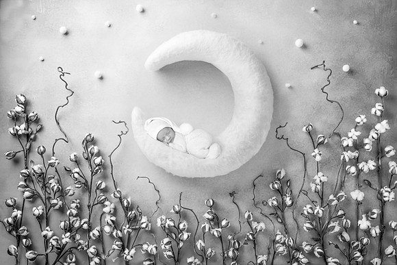 LUCA_25DAYS-15