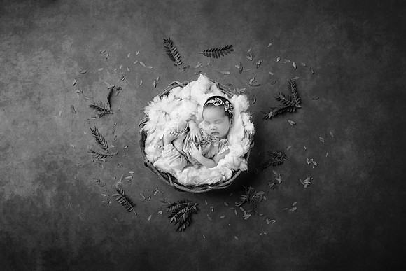 HARLOW_14DAYS-6