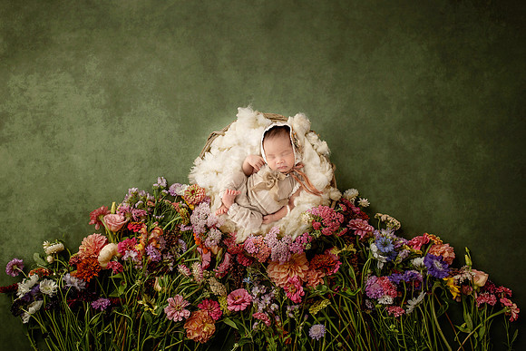 HARLOW_14DAYS-9