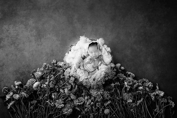 HARLOW_14DAYS-10