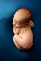 EMERSON_10DAYS-5