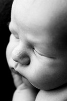 EMERSON_10DAYS-18