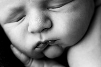 EMERSON_10DAYS-16