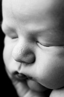 EMERSON_10DAYS-20