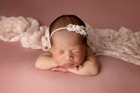 OLLIE_17DAYS-6