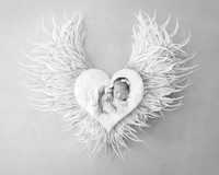 OLLIE_17DAYS-8