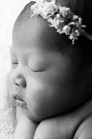 OLLIE_17DAYS-10