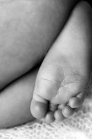 OLLIE_17DAYS-14
