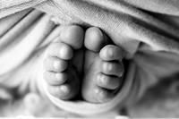 OLLIE_17DAYS-16