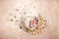OLLIE_17DAYS-17