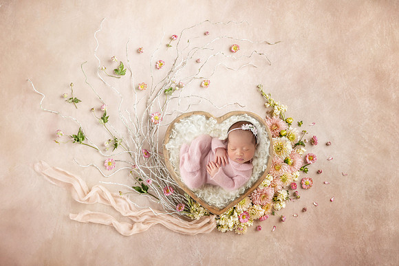 OLLIE_17DAYS-17