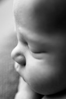 GRADY_17DAYS-8