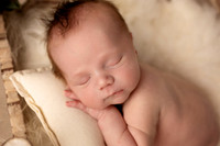 GRADY_17DAYS-18